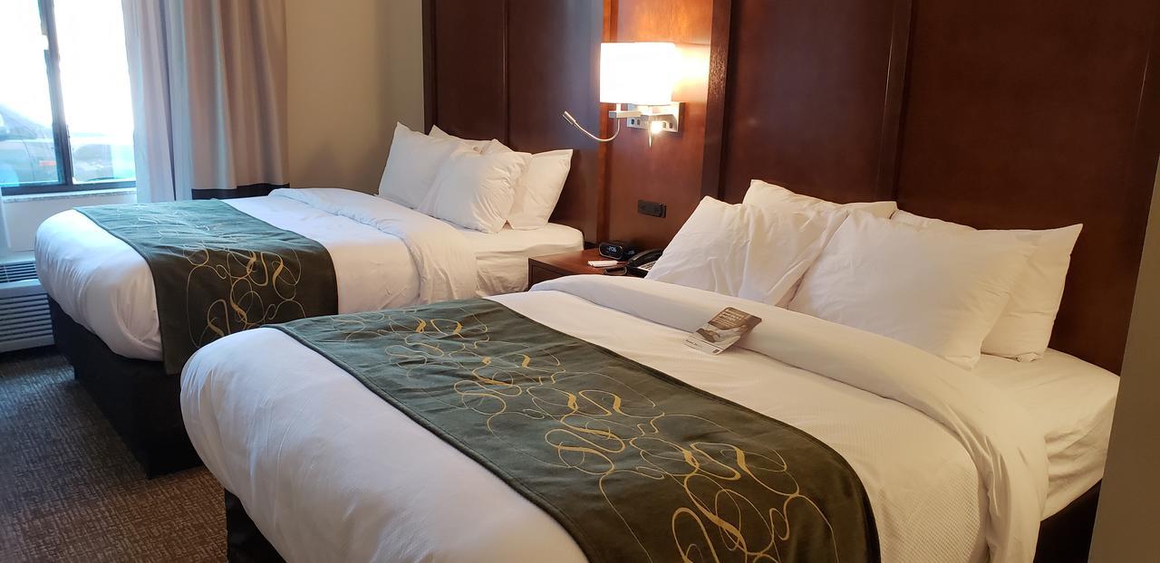 Hotel Comfort Denver Near Anschutz Medical Campus 3*